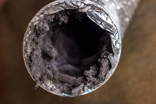 Best Best Air Duct Cleaning Company  in Dillon, CO