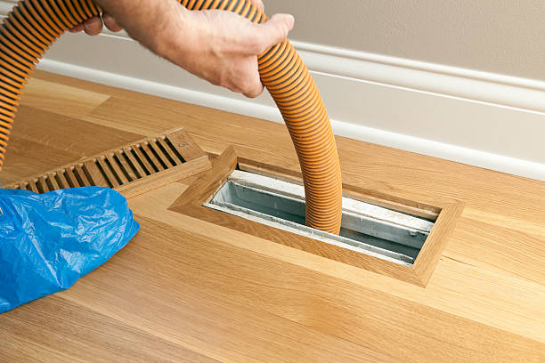 Air Duct Mold Removal in CO